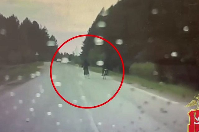 Водитель Ford Focus при обгоне насмерть сбил 11-летнего велосипедиста в Свердловской области