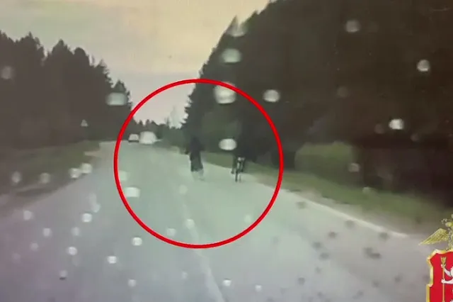 Водитель Ford Focus при обгоне насмерть сбил 11-летнего велосипедиста в Свердловской области