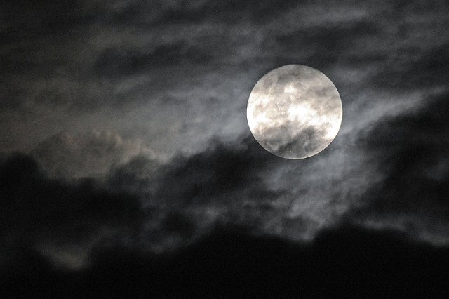 В Верхней Пышме стартовал суд над ритуальным маньяком