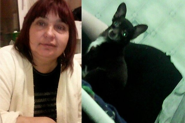 На Урале собака не бросила хозяйку и замерзла вместе с ней в лесу