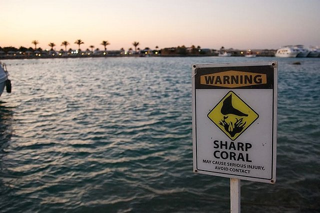 В СРК раскрыли, с какой высоты упал погибший в египетском отеле ребенок