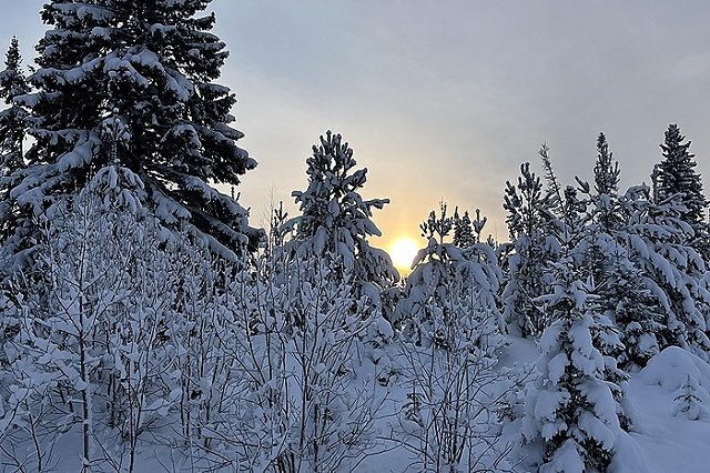 Свердловчанам сообщили о морозах и снегопадах в феврале