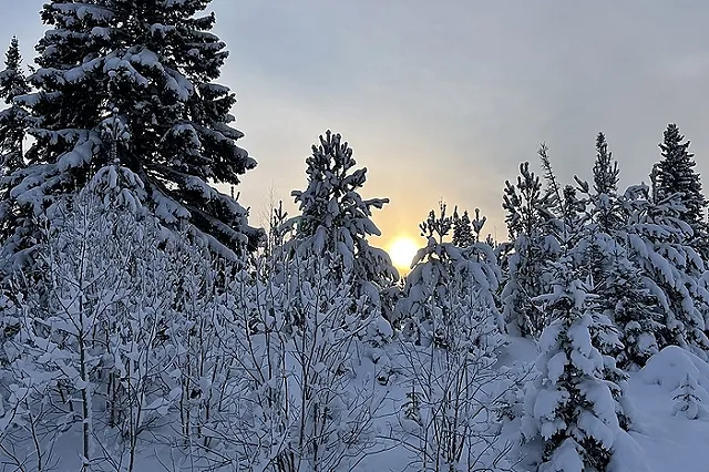 Свердловчанам сообщили о морозах и снегопадах в феврале