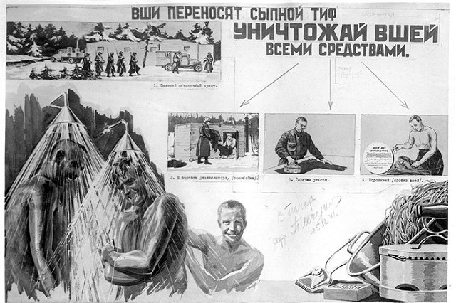 Санврачи Екатеринбурга рассказали, как избавиться от вшей