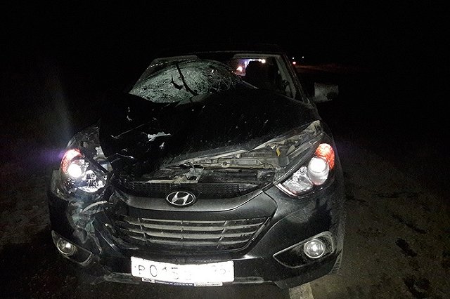 На Серовском тракте насмерть сбили пешехода (ФОТО)