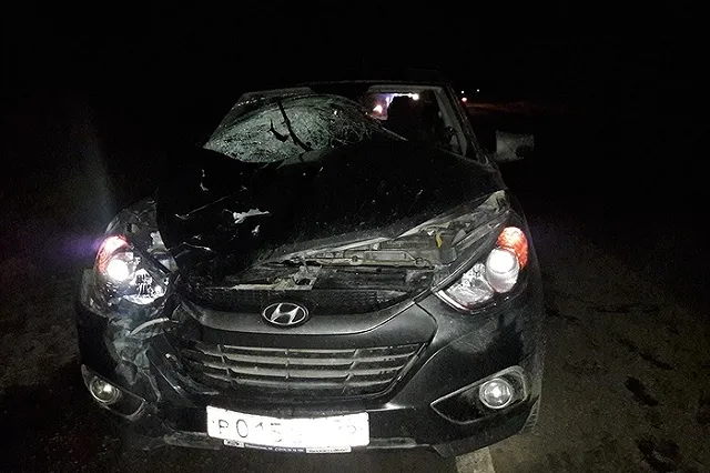 На Серовском тракте насмерть сбили пешехода (ФОТО)