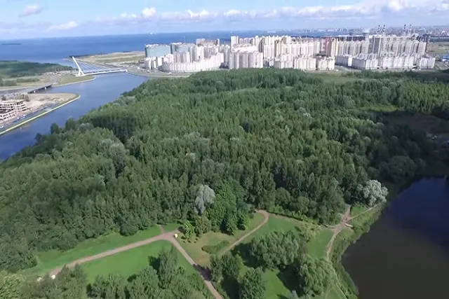 В Петербурге нашли скелет ребенка в парке