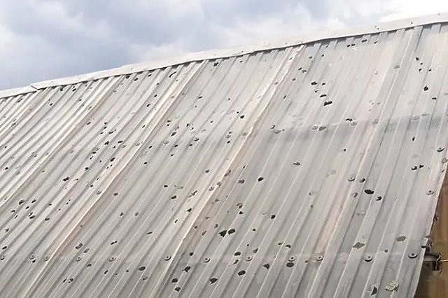 В Свердловской области огромные градины изрешетили теплицы садоводов