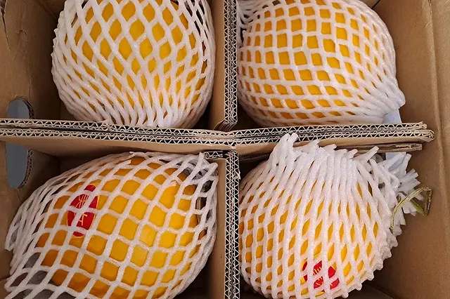 «Лето круглый год». Первую партию арбузов и дынь из Китая привезли в Екатеринбург (ФОТО)