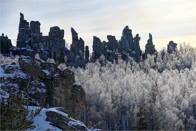 Под Серовом нашли тело местного жителя, который ушел в лес встречать инопланетян