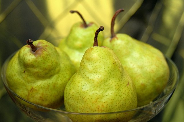 Россия запретила ввоз продуктов с поддельными сертификатами из Белоруссии