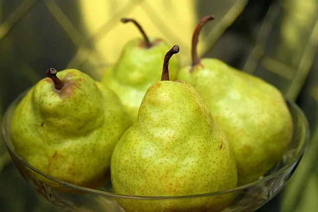 Россия запретила ввоз продуктов с поддельными сертификатами из Белоруссии