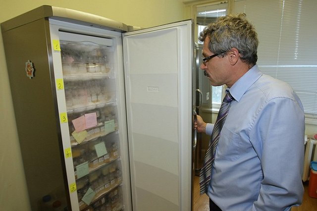 ВАДА поддержало соответствие РУСАДА Всемирному антидопинговому агентству