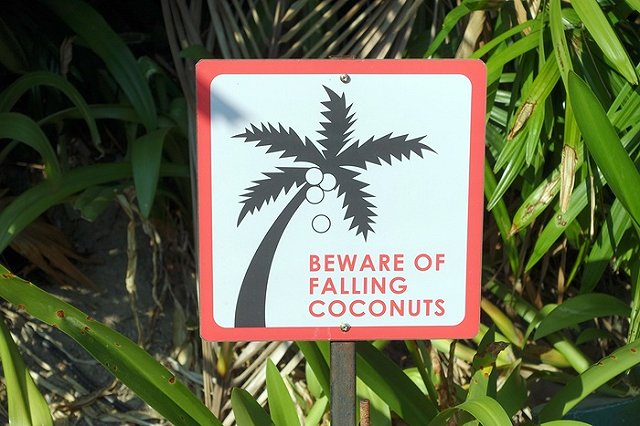 На тайском Пхукете погибли двое россиян