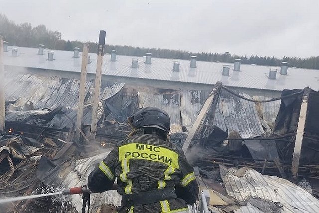 В посёлке Рефтинском загорелось здание цеха