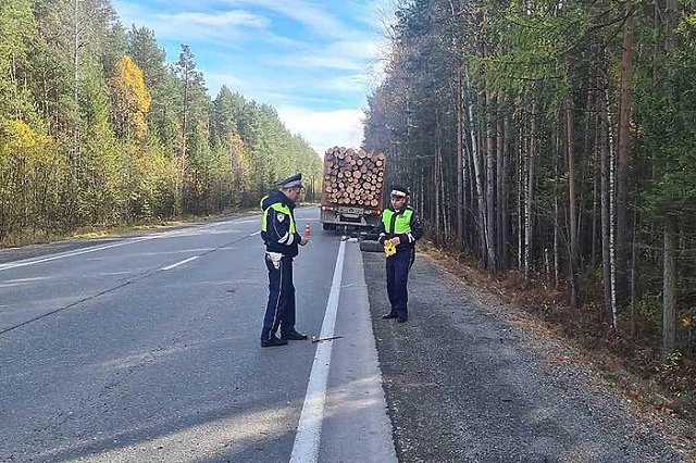 Свердловчанин залез починить колесо на трассе, когда проезжавший грузовик оторвал ему ногу