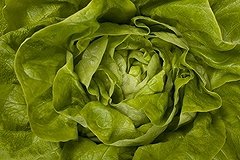 Изобретен гель, который, набухая, создает ощущение сытости