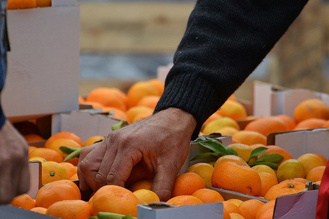 Из Абхазии в Донецк и Луганск выдвинулись мандариновые колонны