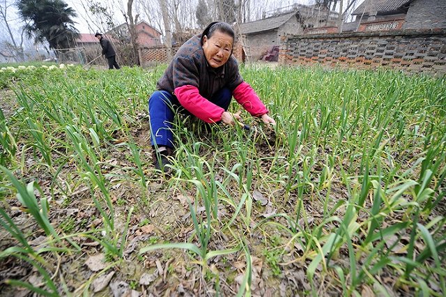 Пенсионный фонд рассказал о пяти работающих пенсионерах, которые старше ста лет