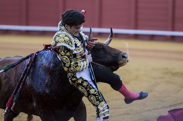 Во время корриды бык снял скальп с легендарного матадора