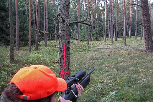 На Уктусе в час, когда стреляли в девушек, видели двух мужчин: один был с ружьем