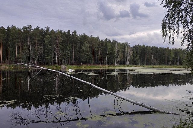 В Свердловской области объявлено штормовое предупреждение