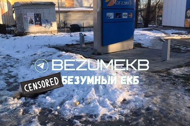 На Вторчермете горожане нашли труп обезглавленной собаки