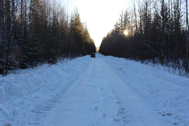 Силовики рассказали, как свердловчанин убил коллегу из-за слишком громкой музыки по пути на работу