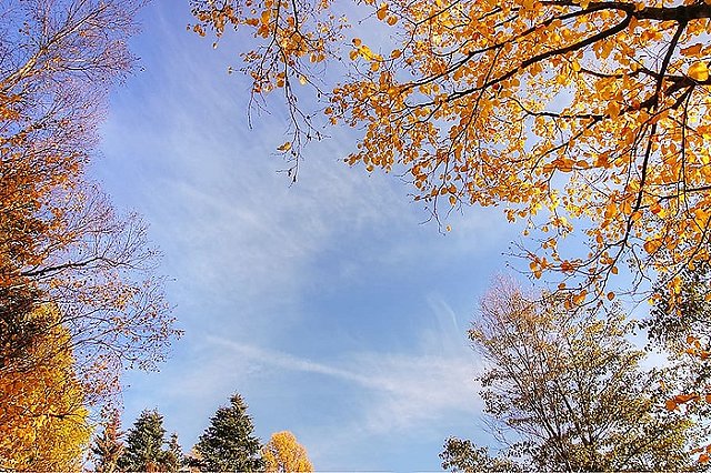 Бабье лето в Екатеринбург придет, но не одно
