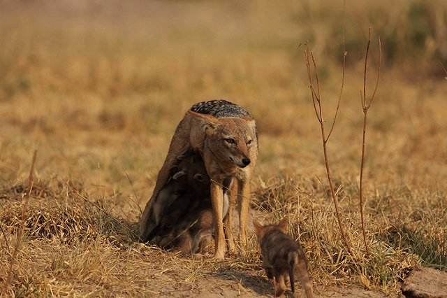 Ашинская роженица, заколовшая младенца ножницами, предстанет перед судом