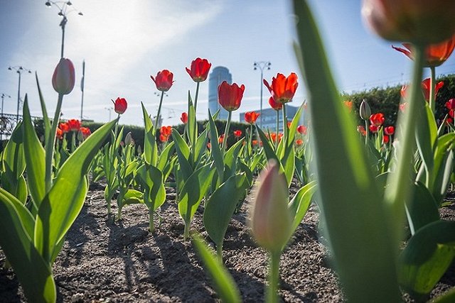 Путин подписал указ о праздновании 300-летия Екатеринбурга