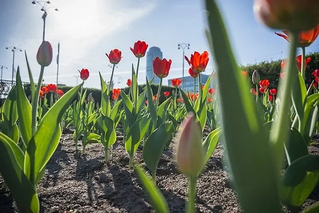 Путин подписал указ о праздновании 300-летия Екатеринбурга