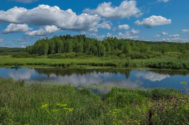Галина Шепоренко рассказала, какой будет вторая половина августа в Екатеринбурге