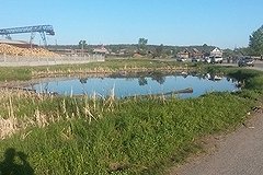 Девушке-водителю &quot;Лэнд Крузера&quot; изберут меру пресечения