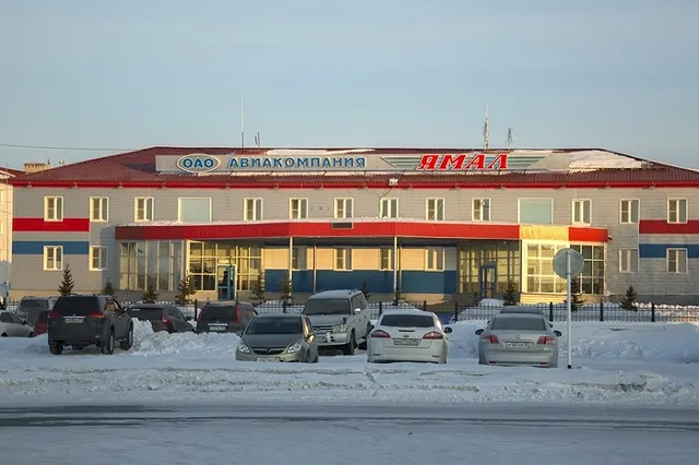 Самолет с пассажирами, задев столб, повредил крыло в Домодедово