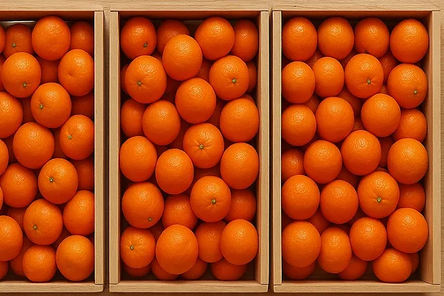 В Екатеринбург привезли тонны заражённых мандаринов