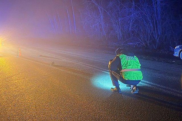 На свердловской трассе погиб неизвестный мужчина, который стоял посреди дороги