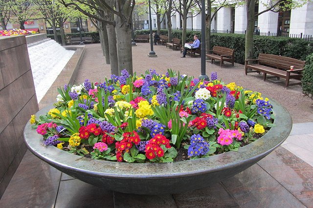 Европейское обустройство на Уралмаше не прижилось: горожане украли 150 растений