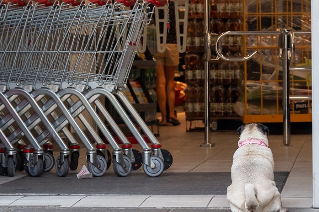 В Подмосковье мать заперла двухлетнего малыша в камере хранения магазина