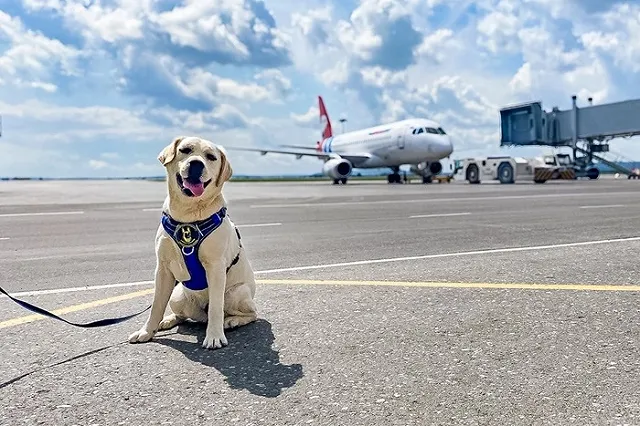 В аэропорту Кольцова занялись тренировкой важного сотрудника (ФОТО)