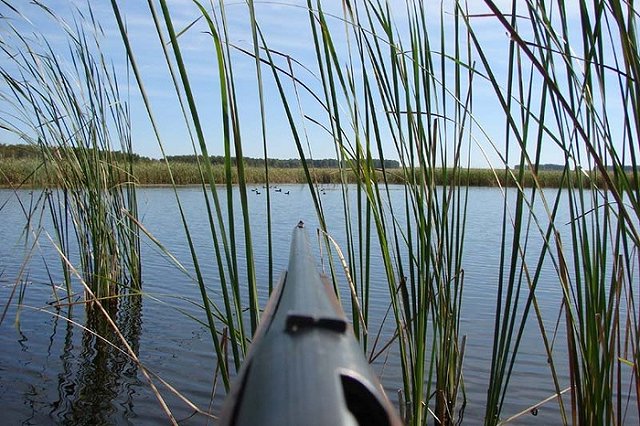 Охотничий туризм начали развивать в Свердловской области