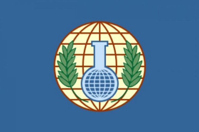 ОЗХО сообщила о сборе инспекторами образцов в сирийской Думе