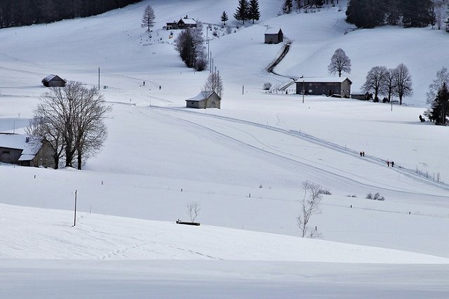 Ампутируют обе ноги: свердловчанин уснул в сугробе и едва не замёрз насмерть