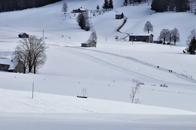 Ампутируют обе ноги: свердловчанин уснул в сугробе и едва не замёрз насмерть