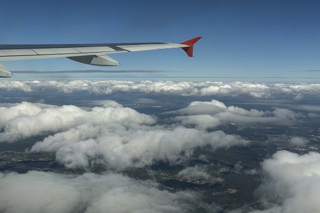 Челябинский хирург спас туристку во время эвакуации из Египта