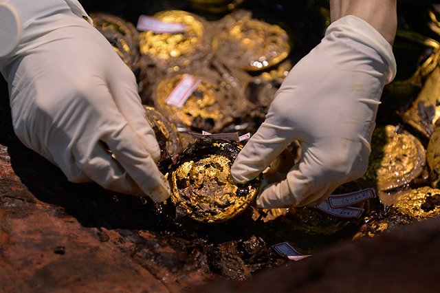 В Китае нашли несметные сокровища из старинной легенды