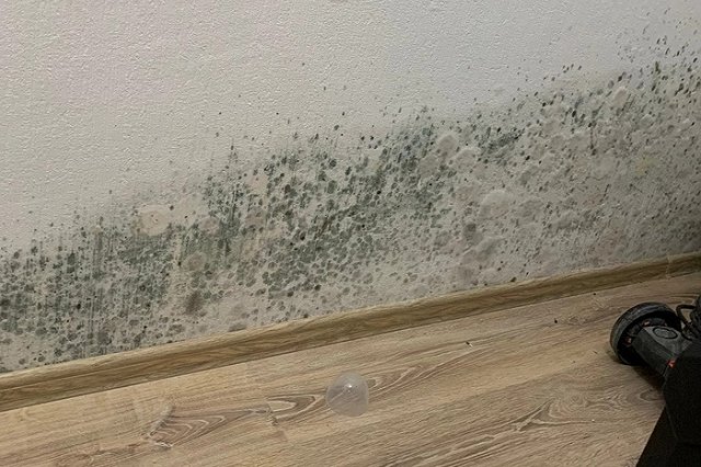 Молодая семья купила квартиру в Академическом с ледяным полом и плесенью