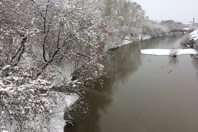 На набережной Исети может появиться колесо обозрения