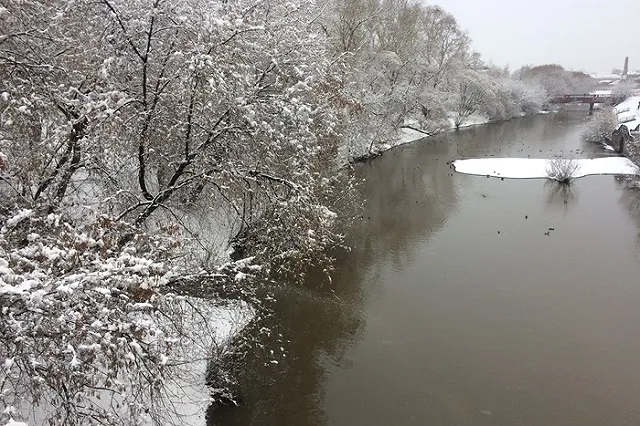 На набережной Исети может появиться колесо обозрения