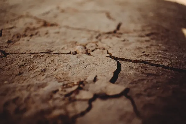 Александр Баунов* предсказал конец Европы в случае продолжения засухи в бедных странах